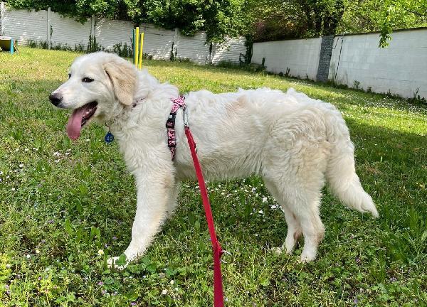 LELLA DELIZIOSA MAREMMANINA Foto 8